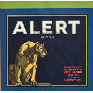 Alert Brand Sacramento San Joaquin Land Co