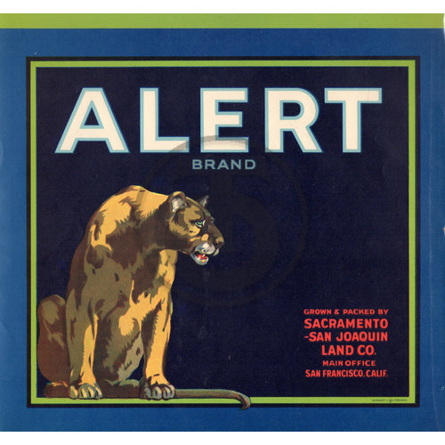 Alert Brand Sacramento San Joaquin Land Co