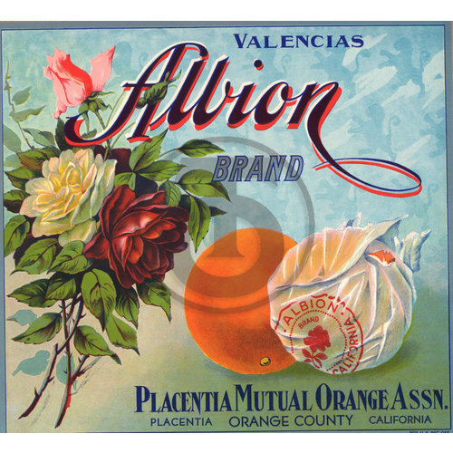 Albion Brand Valencias Placentia Mutual Orange Assn