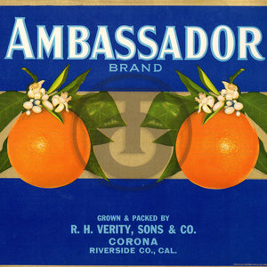 Ambassador Brand R H Verity Sons & Co Corona