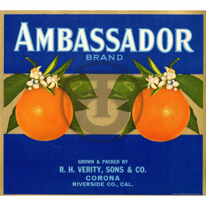 Ambassador Brand R H Verity Sons & Co Corona