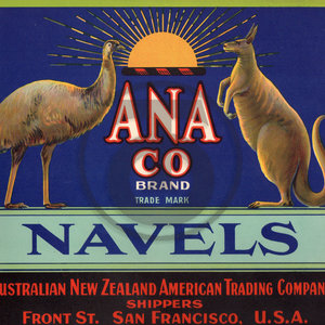 ANA Co Brand Navels Australian New Zealand American Trading Co