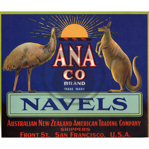 ANA Co Brand Navels Australian New Zealand American Trading Co
