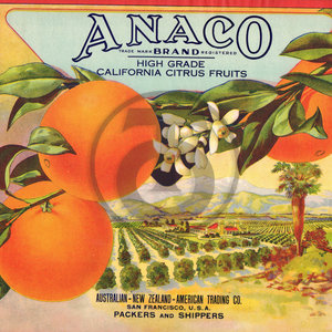 Anaco Brand California Citrus Fruits Australian New Zealand American Trading Co