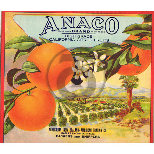 Anaco Brand California Citrus Fruits Australian New Zealand American Trading Co