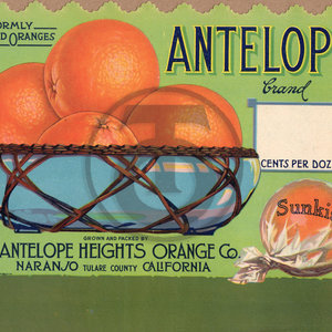Antelope Brand Antelope Heights Orange Co Naranjo Tulare Sign