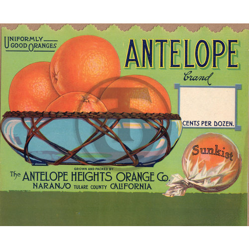 Antelope Brand Antelope Heights Orange Co Naranjo Tulare Sign