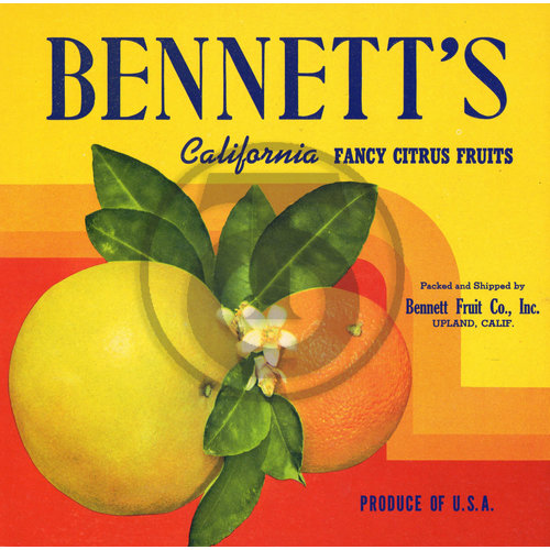 Bennett's California Fancy Citrus Fruits Bennet Fruit Co