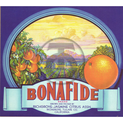 Bonafide Brand Richgrove Jasmine Citrus Assn