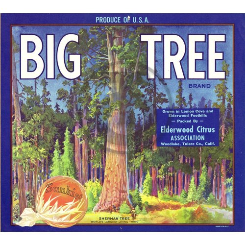 Big Tree Brand Elderwood Citrus Assn