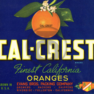 Cal-Crest Brand Finest California Oranges Evans Bros Packing Co