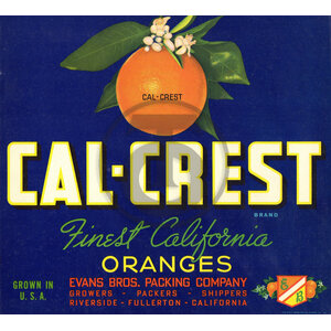 Cal-Crest Brand Finest California Oranges Evans Bros Packing Co