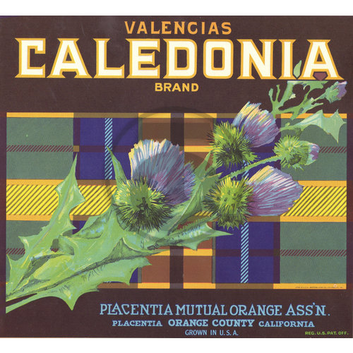 Caledonia Brand Valencias Placentia Mutual Orange Assn