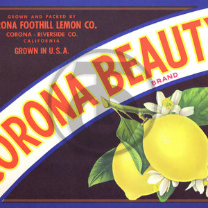Corona Beauty Brand Corona Foothill Lemon Co