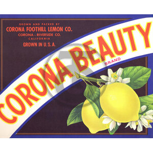 Corona Beauty Brand Corona Foothill Lemon Co