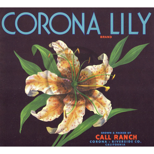 Corona Lily Brand Call Ranch Corona Riverside