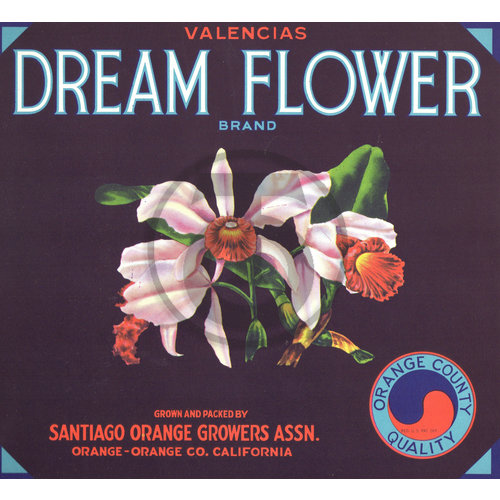 Dream Flower Brand Santiago Orange Growers Assn