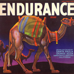 Endurance Santa Paula Orange Assn