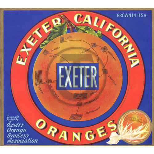 Exeter California Oranges Exeter Orange Growers