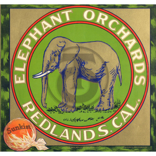 Elephant Orchards Redlands CA
