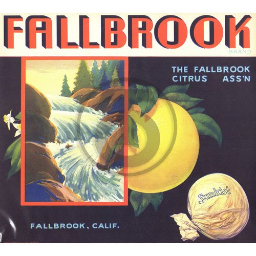 Fallbrook Brand The Fallbrook Citrus Assn Sunkist