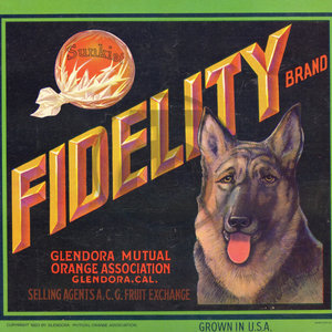 Fidelity Brand Glendora Mutual Orange Assn