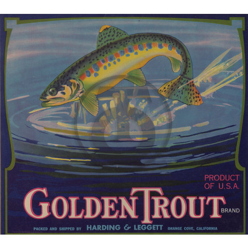 Golden Trout Brand Harding & Leggett Orange Cove CA