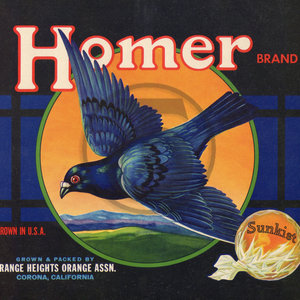 Homer Brand Sunkist Orange Heights Orange Assn