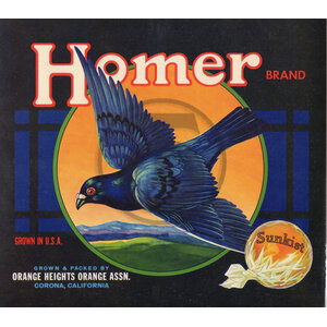 Homer Brand Sunkist Orange Heights Orange Assn Homer Brand Sunkist Orange Heights Orange Assn