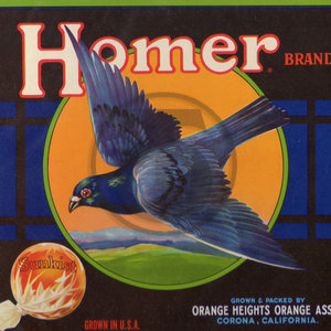 Homer Brand Sunkist Orange Heights Orange Assn