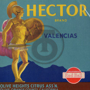 Hector Brand Valencias Red Ball Olive Heights Citrus Assn Orange County CA