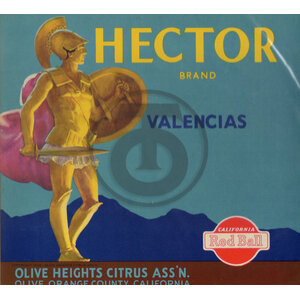 Hector Brand Valencias Red Ball Olive Heights Citrus Assn Orange County CA