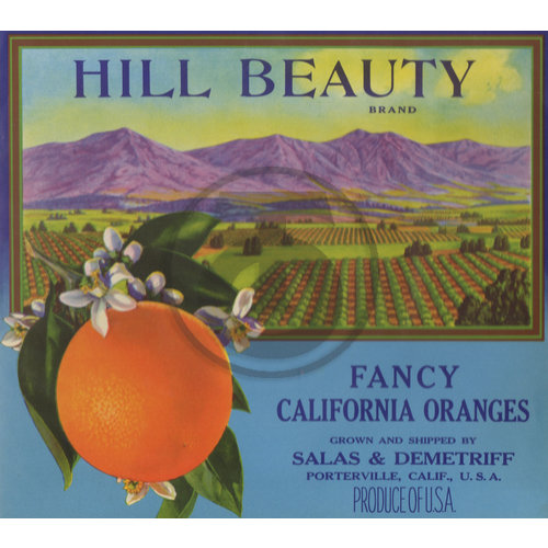 Hill Beauty Brand Fancy California Oranges Salas & Demetria Porterville CA