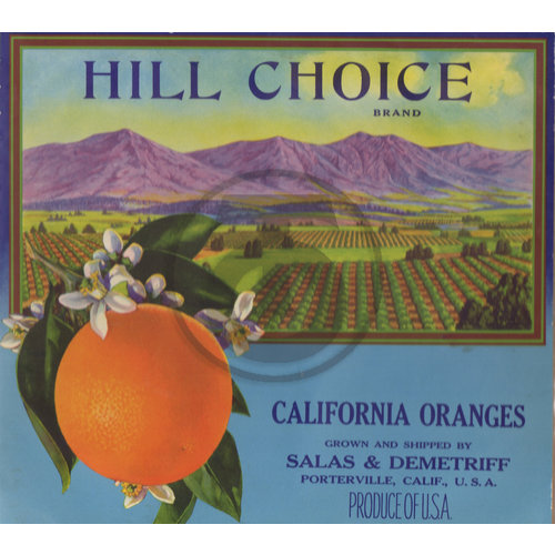 Hill Choice Brand California Oranges Salas & Demetria Porterville CA