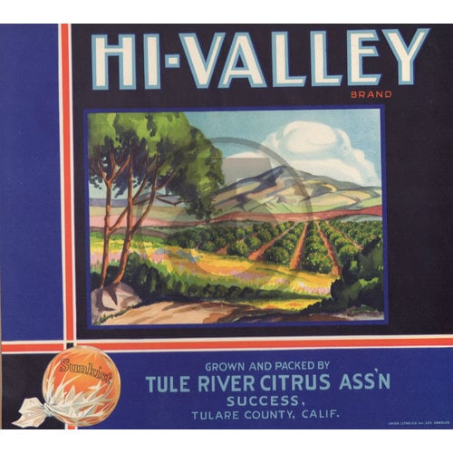 Hi-Valley Brand Tule River Citrus Assn Success Tulare County CA