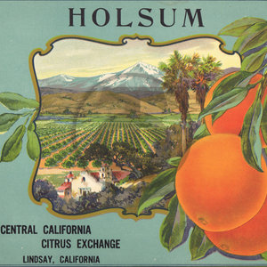 Holsum Central California Citrus Exchange Lindsay CA