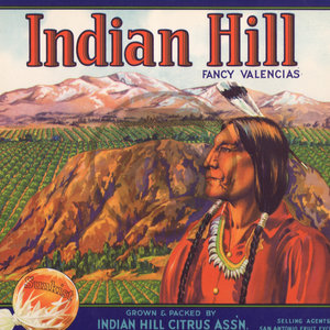 Indian Hill Fancy Valencias Sunkist Indian Hill Citrus Assn
