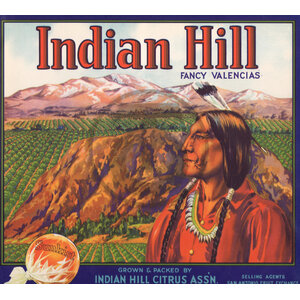 Indian Hill Fancy Valencias Sunkist Indian Hill Citrus Assn