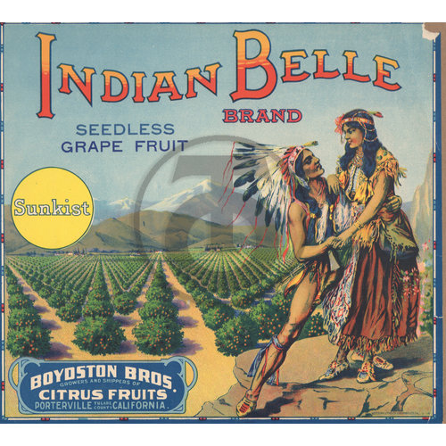 Indian Belle Brand Seedless Grape Fruit Sunkist Boydston Bros Citrus Fruits