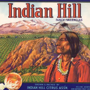 Indian Hill Fancy Valencias Sunkist Indian Hill Citrus Assn