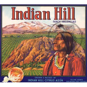 Indian Hill Fancy Valencias Sunkist Indian Hill Citrus Assn