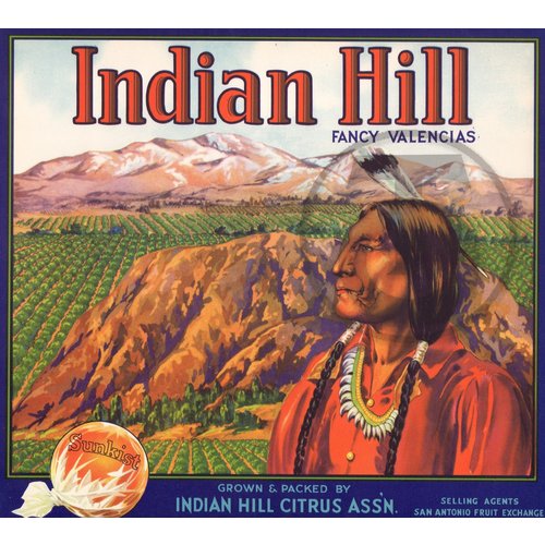Indian Hill Fancy Valencias Sunkist Indian Hill Citrus Assn