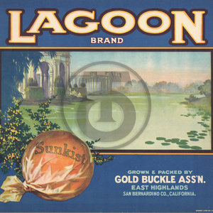 Lagoon Brand Gold Sunkist Gold Buckle Assn East Highlands San Bernardino CA