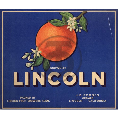 Lincoln Orange J B Forbes Grower Lincoln CA