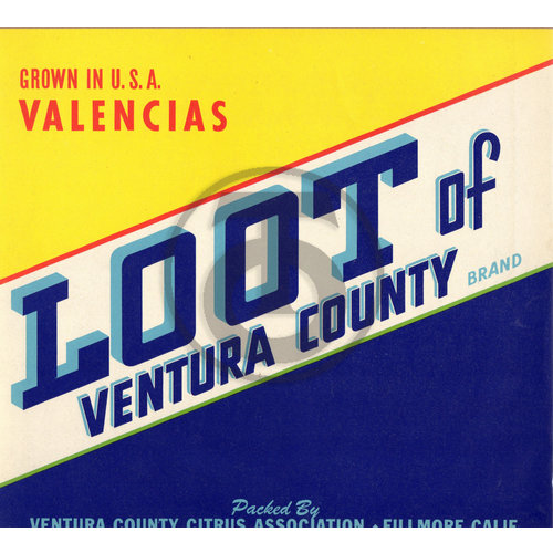 Loot of Ventura County Brand Valencias Ventura County Citrus Assn Fillmore CA