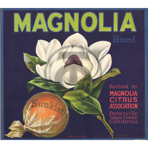 Magnolia Brand Magnolia Citrus Assn Porterville Tulare CA