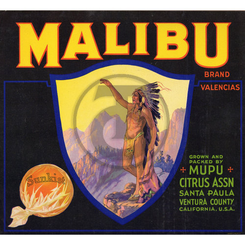 Malibu Brand Valencias Sunkist Mupu Citrus Assn Santa Paula CA Malibu Brand Valencias Sunkist Mupu Citrus Assn Santa Paula CA