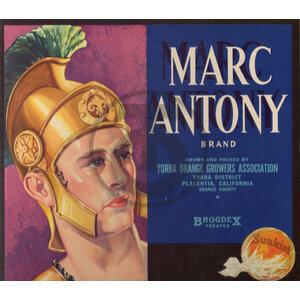 Marc Antony Brand Yoruba Orange Growers Assn Placentia CA BrogdeX