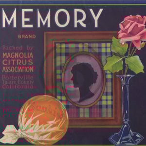 Memory Brand Magnolia Citrus Growers Assn
