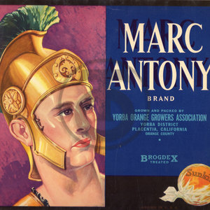 Marc Antony Brand Sunkist Yorba Orange Growers Assn Placentia CA BrogdeX